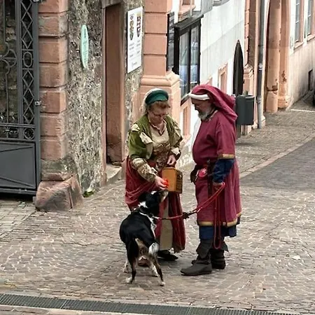 Apartment Nibelungen 4