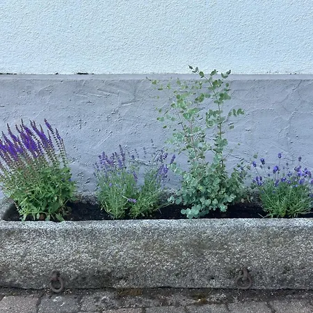 Nibelungen 4 Apartment Lindenfels