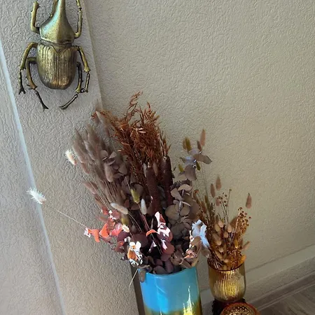 Apartment 4