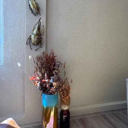 Apartment Nibelungen 4 Lindenfels