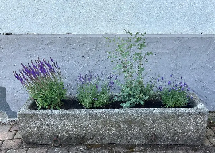 Nibelungen 4 شقة Lindenfels